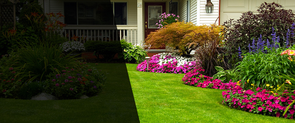 Elon Landscapers